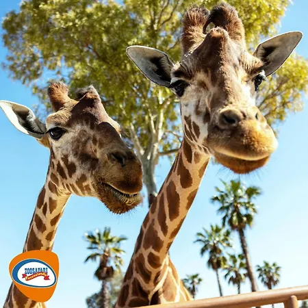 Trullo House * Locorotondo