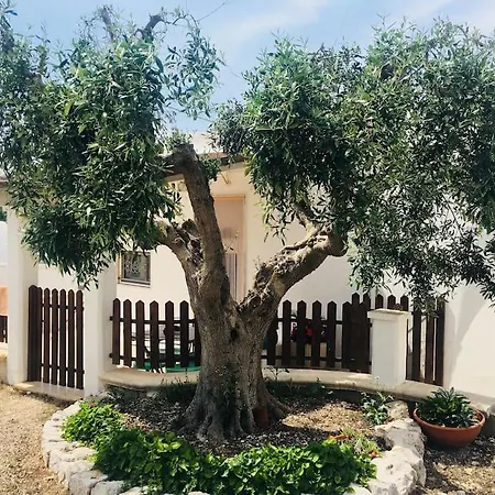 Apartment Trullo House Locorotondo